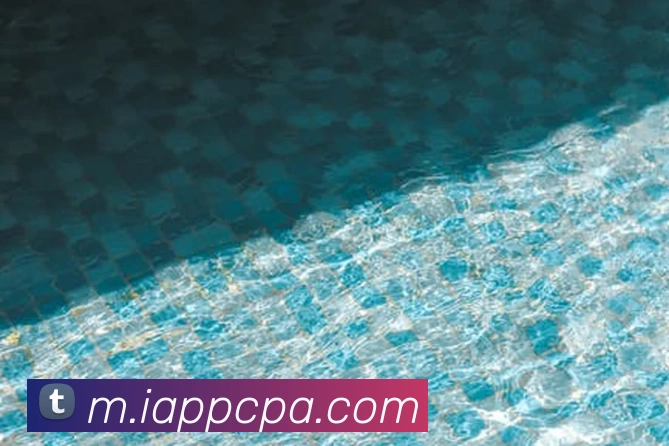 pa视讯品牌故事